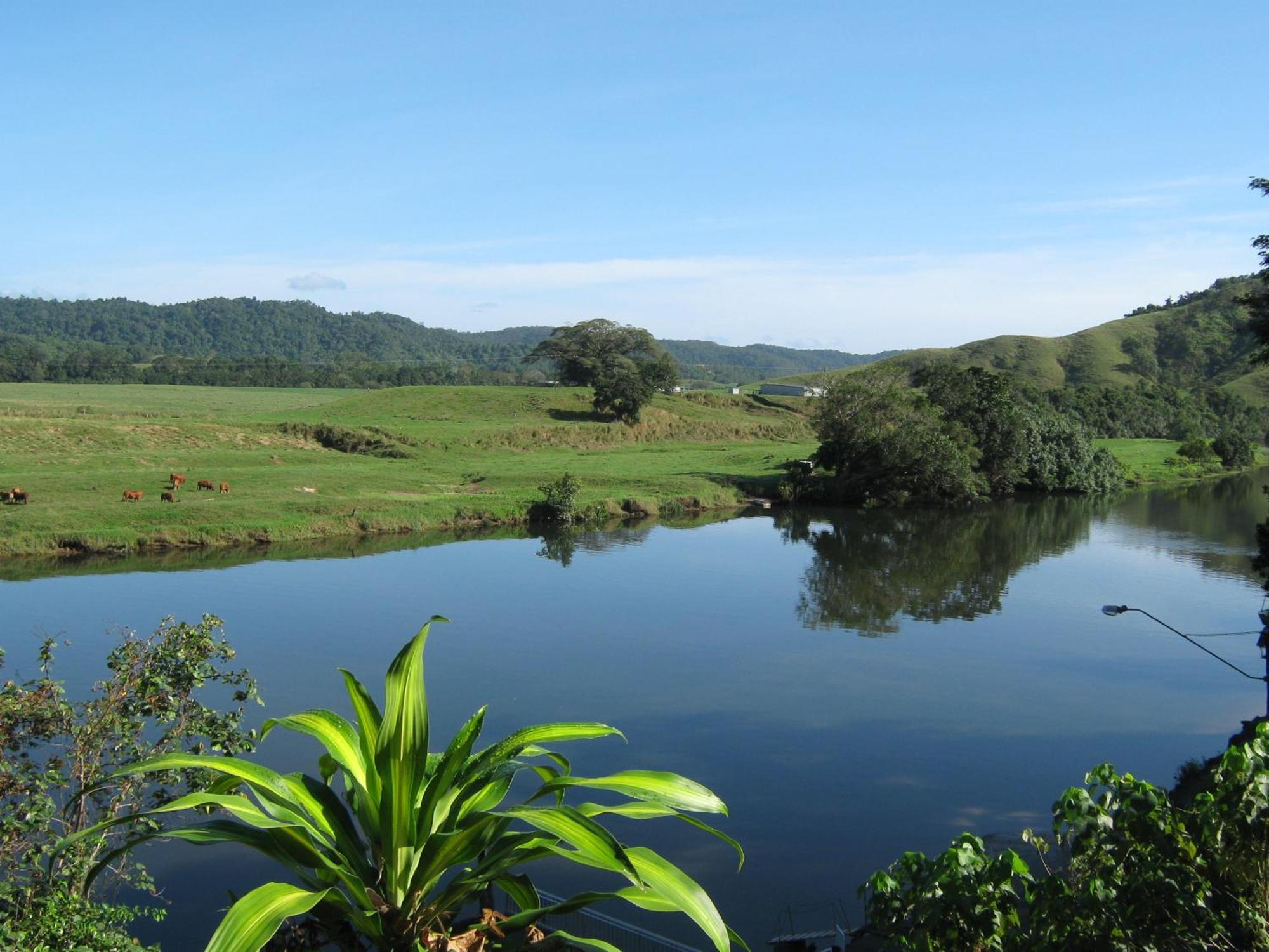 Daintree Riverview Lodges Eksteriør billede