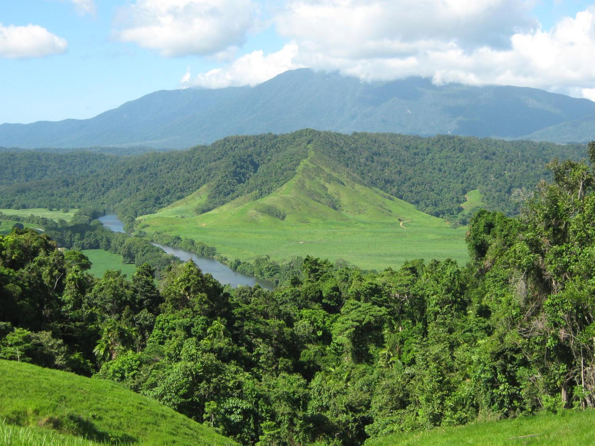 Daintree Riverview Lodges Eksteriør billede