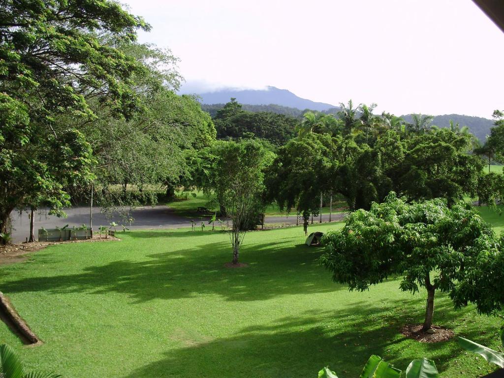 Daintree Riverview Lodges Eksteriør billede